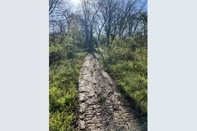 7620 E Bend Road, Burlington, KY 41005 - Photo 6