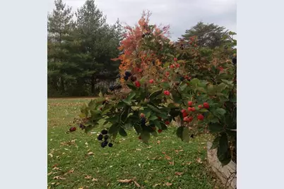 220 Old Eagle Tunnel Road, Glencoe, KY 41046 - Photo 28