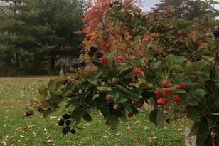 220 Old Eagle Tunl Rd, Glencoe, KY 41046 - Photo 28