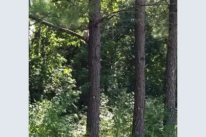 220 Old Eagle Tunnel Road, Glencoe, KY 41046 - Photo 30