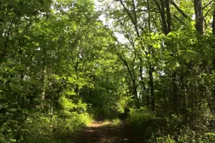 220 Old Eagle Tunl Rd, Glencoe, KY 41046 - Photo 36