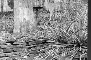 330 Hide-A-Way Dr, Owenton, KY 40359 - Photo 10