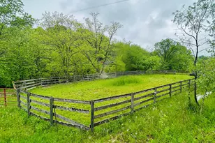 10061 Persimmon Grove Pike, Alexandria, KY 41001 - Photo 12