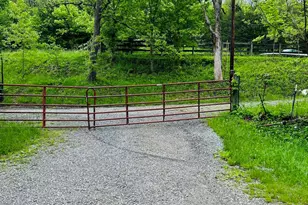 10061 Persimmon Grove Pike, Alexandria, KY 41001 - Photo 10