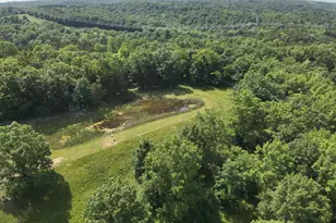 139 Old Pinhook Rd, Mount Olivet, KY 41064 - Photo 6