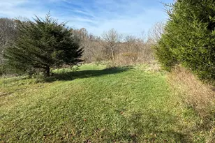 4370 Cordova Rd, Williamstown, KY 41097 - Photo 12