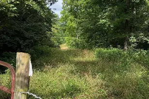 295 Fairview Rd, Williamstown, KY 41097 - Photo 44