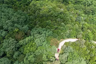 295 Fairview Rd, Williamstown, KY 41097 - Photo 46