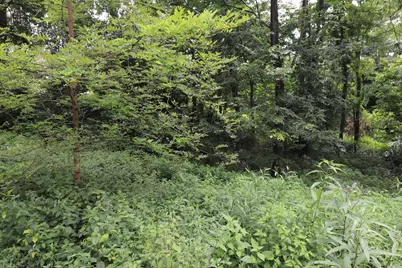 354 Garrett Avenue, Brooksville, KY 41004 - Photo 10