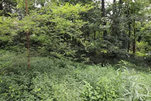 354 Garrett Ave, Brooksville, KY 41004 - Photo 10