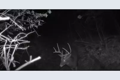 10590 Riddles Run Road, Union, KY 41091 - Photo 46