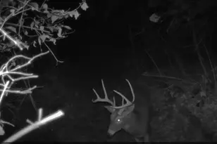 10590 Riddles Run Rd, Union, KY 41091 - Photo 46