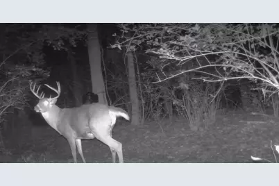 10590 Riddles Run Road, Union, KY 41091 - Photo 42