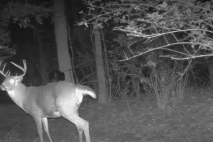 10590 Riddles Run Rd, Union, KY 41091 - Photo 42