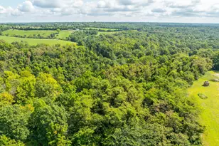 400 Cynthiana St, Williamstown, KY 41097 - Photo 8