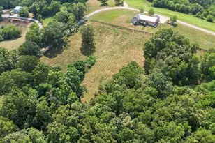 758 Turner Ridge Rd, Falmouth, KY 41040 - Photo 22