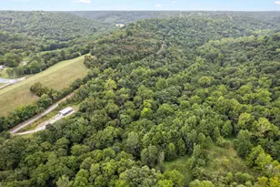 5104 Dutch Ridge Rd, Augusta, KY 41002 - Photo 8