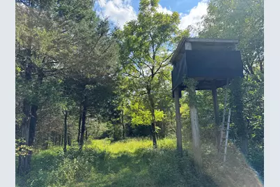 0000 Pleasant Grove Road, Corinth, KY 41010 - Photo 8