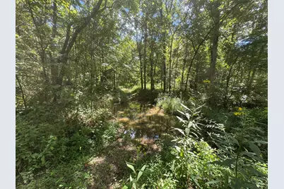 00 Caney Creek Road, Owenton, KY 40359 - Photo 34