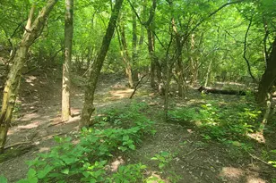 2502 Center St, Covington, KY 41014 - Photo 10