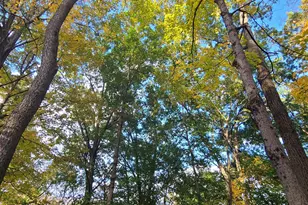 2502 Center St, Covington, KY 41014 - Photo 8