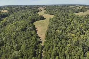 4056 Jett Estates Ln, Germantown, KY 41044 - Photo 38