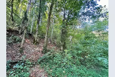 1010 Hill City Road, Maysville, KY 41056 - Photo 22