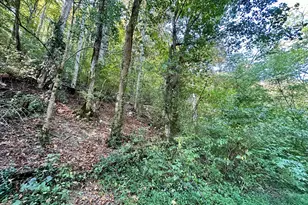 1010 Hill City Rd, Maysville, KY 41056 - Photo 22