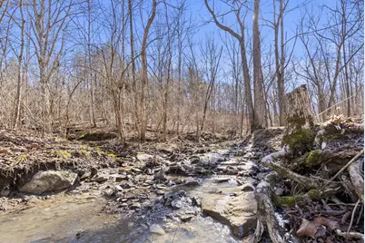 10.60 Ac Swanee Shore Drive, Williamstown, KY 41097 - Photo 20