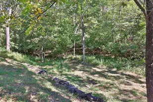 445 Elk Lake Resort Rd, Owenton, KY 40359 - Photo 26