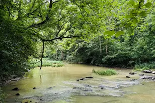 9947 Meadow Glen Dr, Independence, KY 41051 - Photo 46