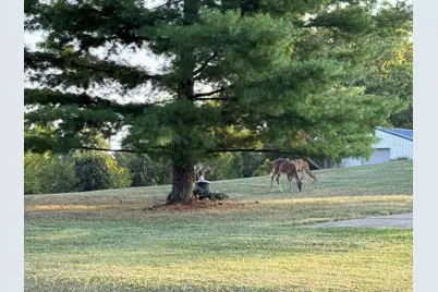 1775 Dry Ridge Mount Zion Road, Dry Ridge, KY 41035 - Photo 2