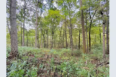 1775 Dry Ridge Mount Zion Road, Dry Ridge, KY 41035 - Photo 48