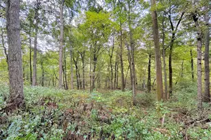 1775 Dry Ridge Mt Zion Rd, Dry Ridge, KY 41035 - Photo 48