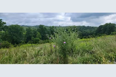 15711 Pfanstiehl Road, Demossville, KY 41033 - Photo 14