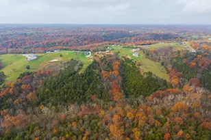 15711 Pfanstiehl Rd, Demossville, KY 41033 - Photo 1