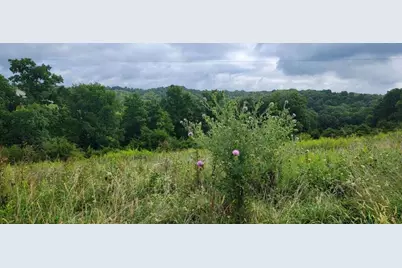 15711 Pfanstiehl Road, Demossville, KY 41033 - Photo 16