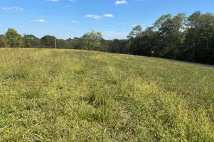 0 1316 Hwy, Sparta, KY 41086 - Photo 4