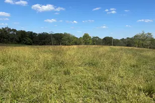 0 1316 Hwy, Sparta, KY 41086 - Photo 4