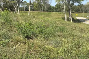 0 1316 Hwy, Sparta, KY 41086 - Photo 2