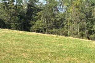 0 16 Hwy, Warsaw, KY 41095 - Photo 4