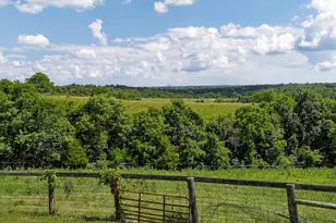 1235 Cordova Rd, Williamstown, KY 41097 - Photo 32