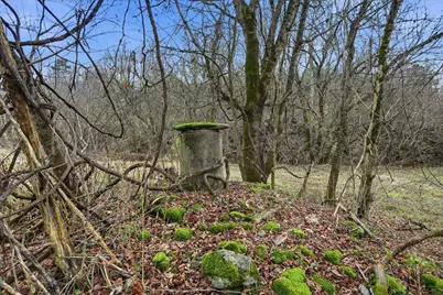 5275 Harmony Road, Owenton, KY 40359 - Photo 4