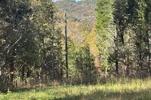 2690 Cedar Creek Rd, Owenton, KY 40359 - Photo 36