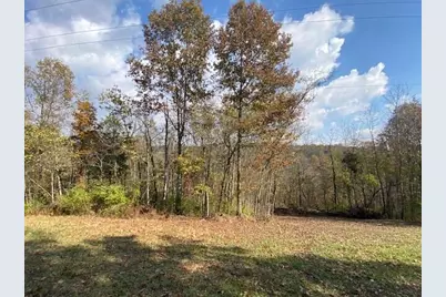 755 Galbraith Rd. Road, Brooksville, KY 41004 - Photo 2