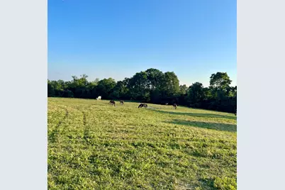 3383 Hathaway Road, Union, KY 41091 - Photo 50