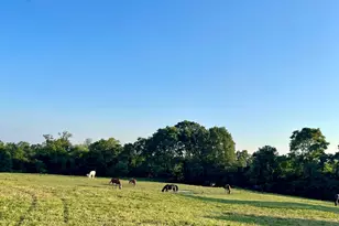 3383 Hathaway Rd, Union, KY 41091 - Photo 50