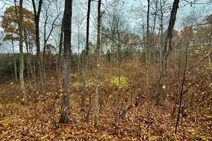 530 Rankin Mill Rd, Falmouth, KY 41040 - Photo 44