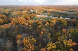 530 Rankin Mill Rd, Falmouth, KY 41040 - Photo 4