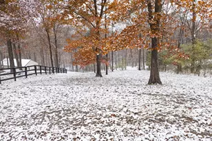 11675 Big Bone Rd, Union, KY 41091 - Photo 4